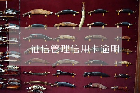 征信管理信用卡逾期 征信管理信用卡逾期