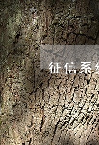 征信系统4个账户逾期 征信系统4个账户逾期