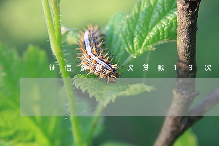 征信系统三次贷款13次逾期 征信系统三次贷款13次逾期
