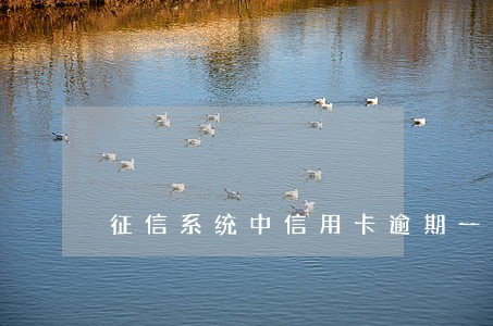征信系统中信用卡逾期一次 征信系统中信用卡逾期一次
