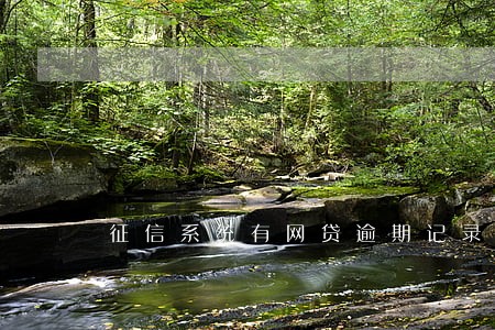 征信系统有网贷逾期记录 征信系统有网贷逾期记录