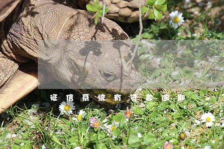 征信系统有贷款逾期 征信系统有贷款逾期