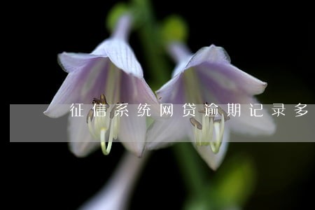 征信系统网贷逾期记录多久会消 征信系统网贷逾期记录多久会消