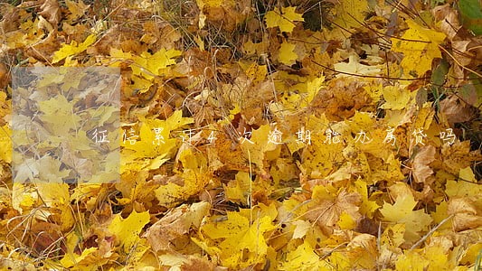 征信累计4次逾期能办房贷吗 征信累计4次逾期能办房贷吗