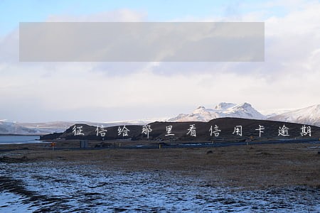 征信给那里看信用卡逾期几次 征信给那里看信用卡逾期几次
