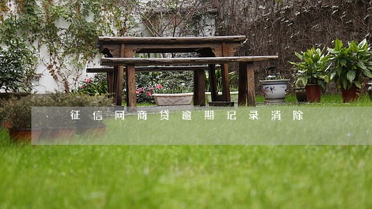 征信网商贷逾期记录消除