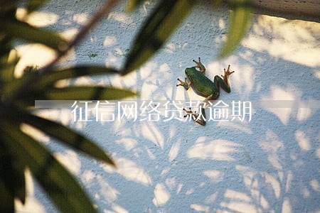 征信网络贷款逾期 征信网络贷款逾期