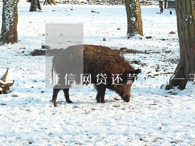 征信网贷还款逾期一天 征信网贷还款逾期一天