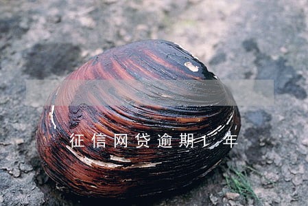 征信网贷逾期1年 征信网贷逾期1年