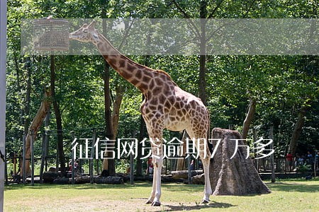 征信网贷逾期7万多