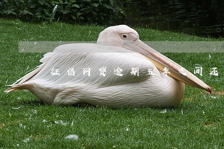 征信网贷逾期五年之间还清 征信网贷逾期五年之间还清