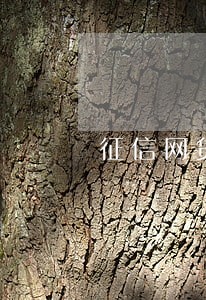 征信网贷逾期可以贷款买房