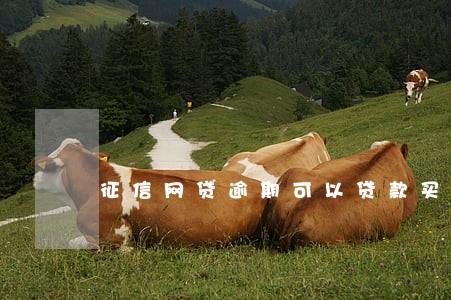 征信网贷逾期可以贷款买车吗 征信网贷逾期可以贷款买车吗
