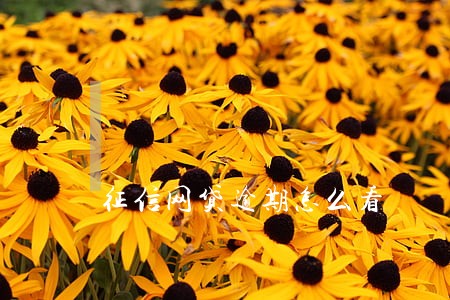 征信网贷逾期怎么看