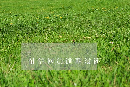 征信网贷逾期没还 征信网贷逾期没还