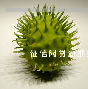 征信网贷逾期照样买房 征信网贷逾期照样买房