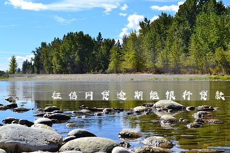 征信网贷逾期能银行贷款吗 征信网贷逾期能银行贷款吗