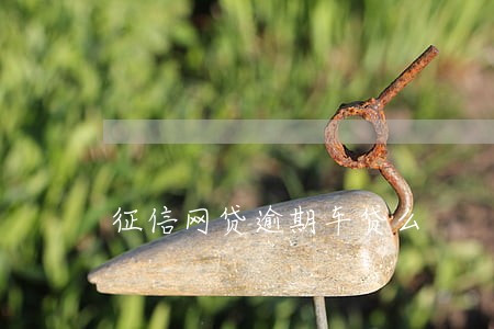 征信网贷逾期车贷么 征信网贷逾期车贷么