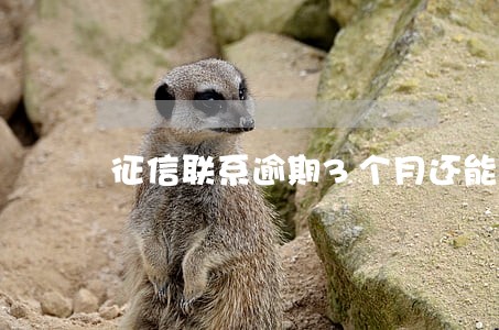 征信联系逾期3个月还能贷款吗 征信联系逾期3个月还能贷款吗