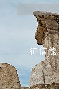 征信能显示逾期30天 征信能显示逾期30天
