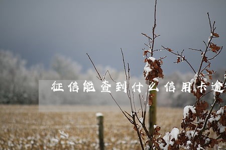 征信能查到什么信用卡逾期吗 征信能查到什么信用卡逾期吗