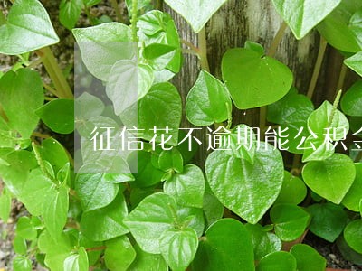 征信花不逾期能公积金贷款买房吗