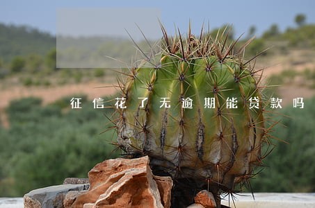 征信花了无逾期能贷款吗 征信花了无逾期能贷款吗