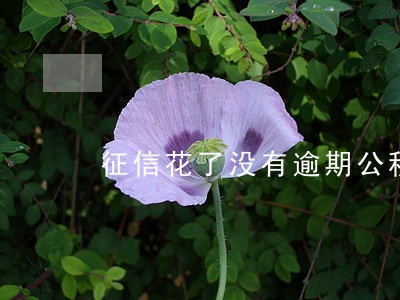 征信花了没有逾期公积金贷款 征信花了没有逾期公积金贷款