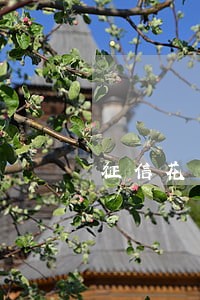 征信花了没逾期可以办信用卡吗 征信花了没逾期可以办信用卡吗