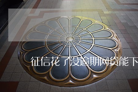 征信花了没逾期网贷能下款吗 征信花了没逾期网贷能下款吗