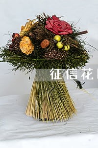 征信花以前逾期办信用卡 征信花以前逾期办信用卡