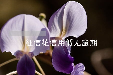 征信花信用低无逾期 征信花信用低无逾期
