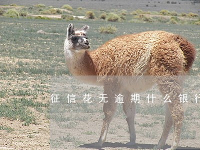 征信花无逾期什么银行可以贷款 征信花无逾期什么银行可以贷款