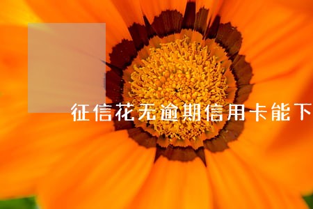 征信花无逾期信用卡能下吗 征信花无逾期信用卡能下吗