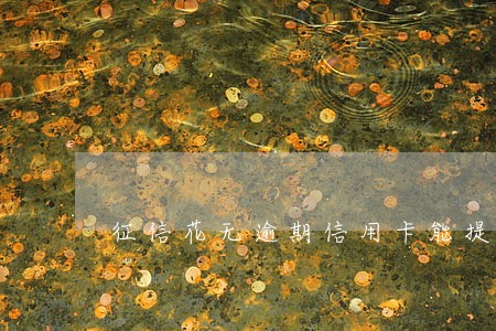 征信花无逾期信用卡能提额吗 征信花无逾期信用卡能提额吗