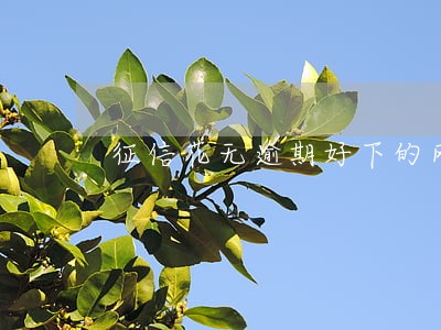 征信花无逾期好下的网贷 征信花无逾期好下的网贷