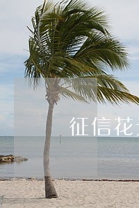 征信花无逾期招行信用卡 征信花无逾期招行信用卡