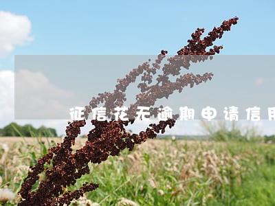 征信花无逾期申请信用卡秒拒 征信花无逾期申请信用卡秒拒