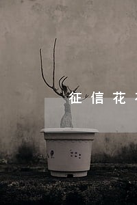 征信花有网贷无逾期怎么贷五万 征信花有网贷无逾期怎么贷五万