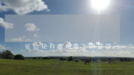 征信花有逾期能下的贷款 征信花有逾期能下的贷款