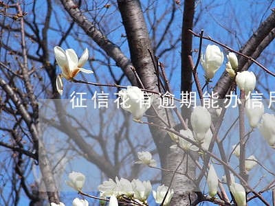 征信花有逾期能办信用卡吗 征信花有逾期能办信用卡吗