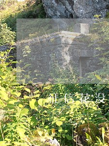 征信花没有逾期信用卡 征信花没有逾期信用卡