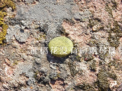 征信花没有逾期可以贷款吗 征信花没有逾期可以贷款吗