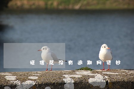 征信花没有逾期网贷妙 征信花没有逾期网贷妙
