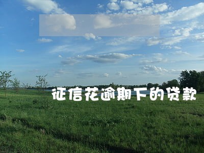 征信花逾期下的贷款 征信花逾期下的贷款