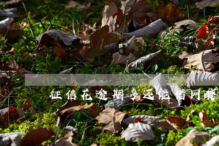征信花逾期多还能借网贷吗 征信花逾期多还能借网贷吗