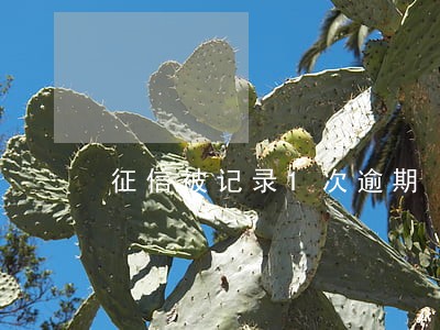 征信被记录1次逾期 征信被记录1次逾期
