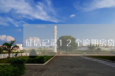 征信记录12个逾期房贷能过吗
