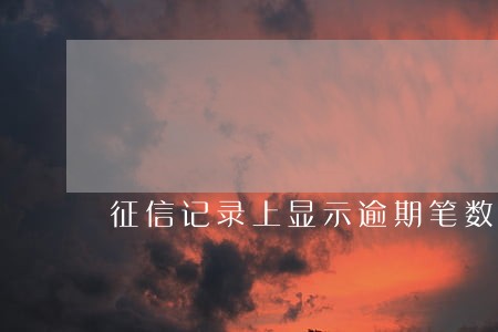 征信记录上显示逾期笔数有11笔 征信记录上显示逾期笔数有11笔