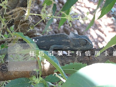征信记录上有信用卡逾期